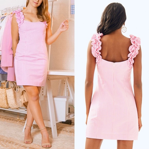 Lilly Pulitzer Devina Ruffle Sleeve Dress in Pink Yarn Seersucker Size 2 - Picture 5 of 15